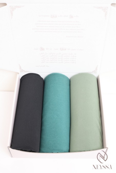 Box 3 hijab jersey premium à enfiler pour femme hijabi tendance